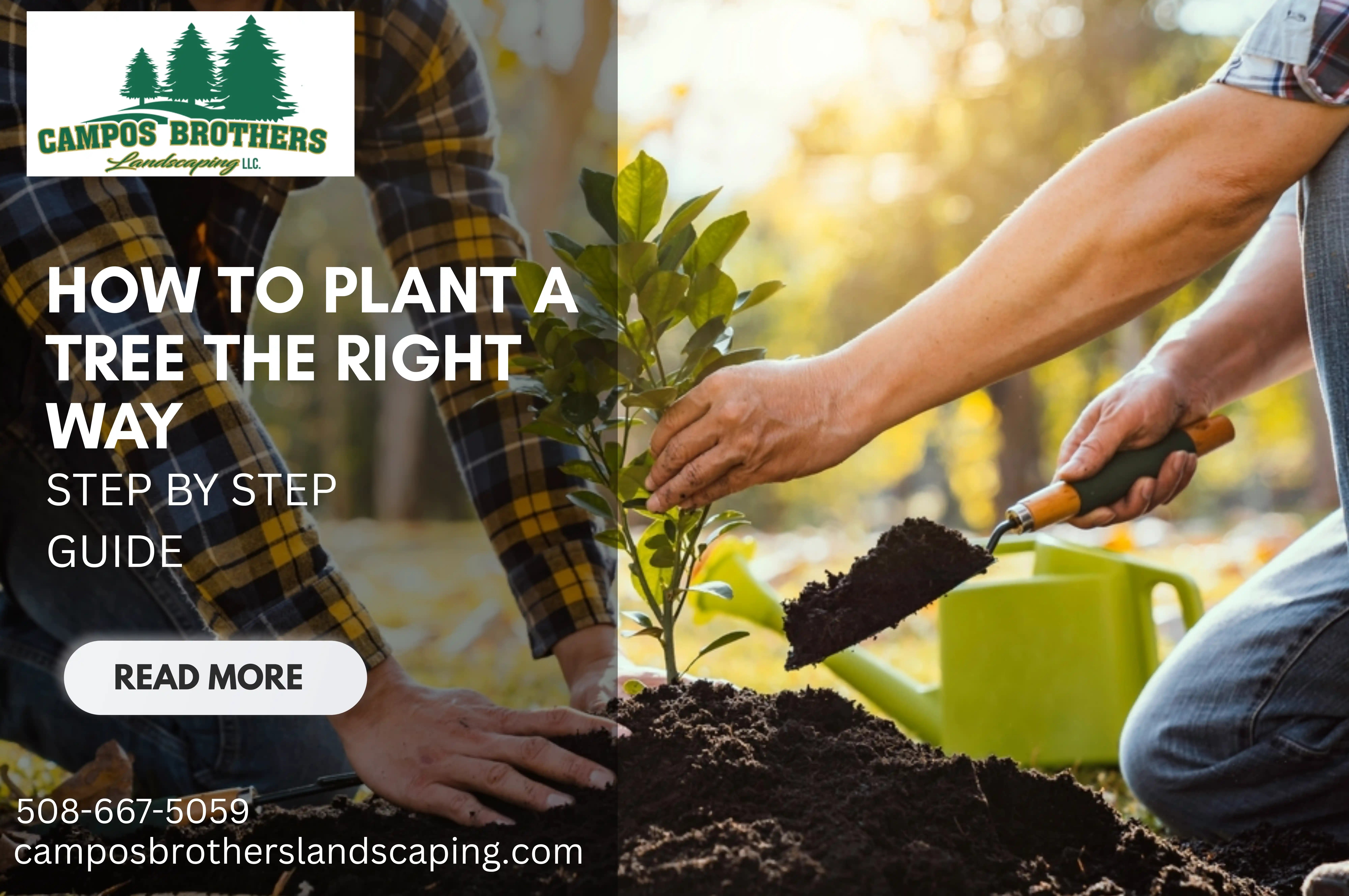 How to Plant a Tree