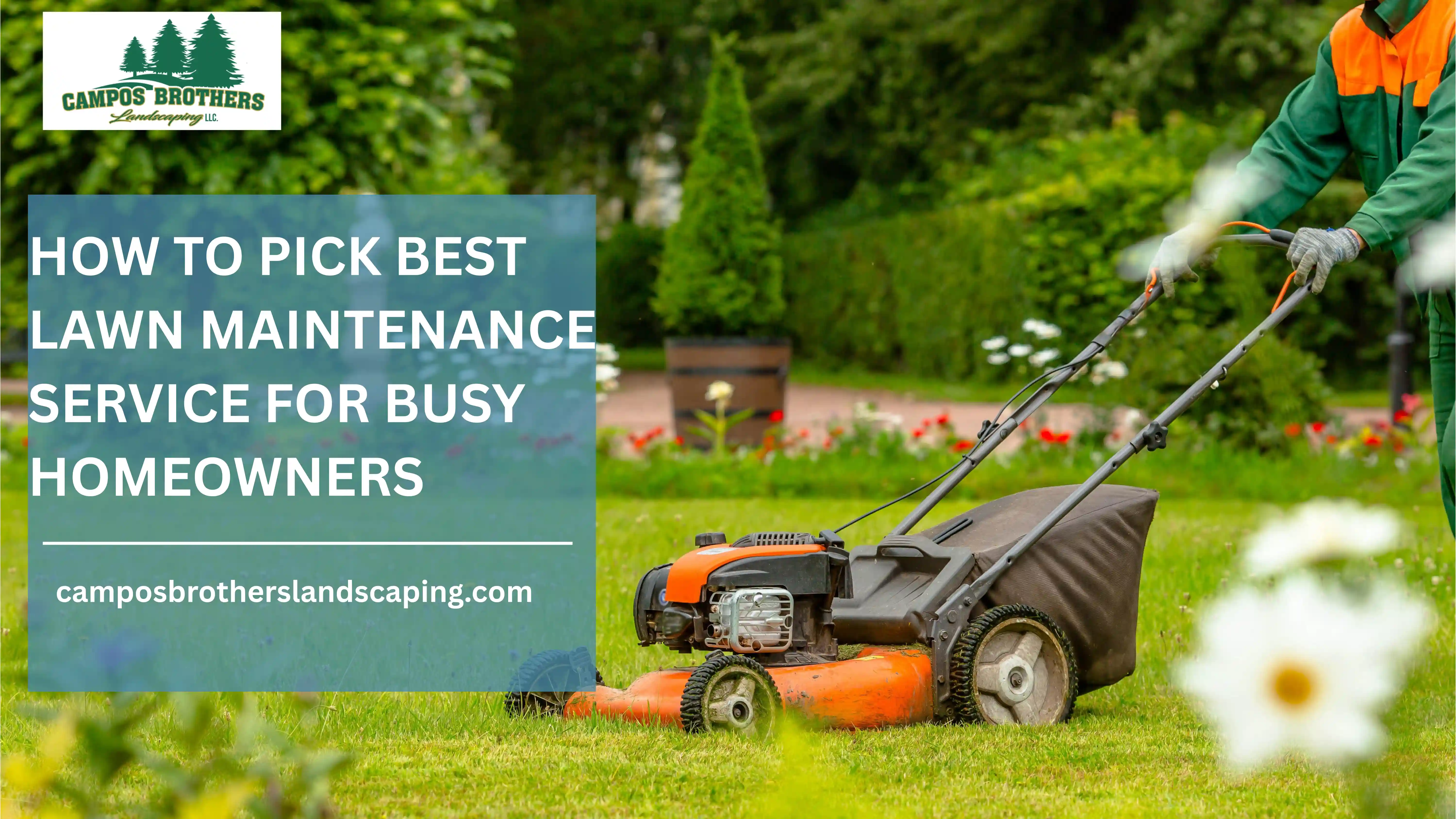 lawn care and maintenance services