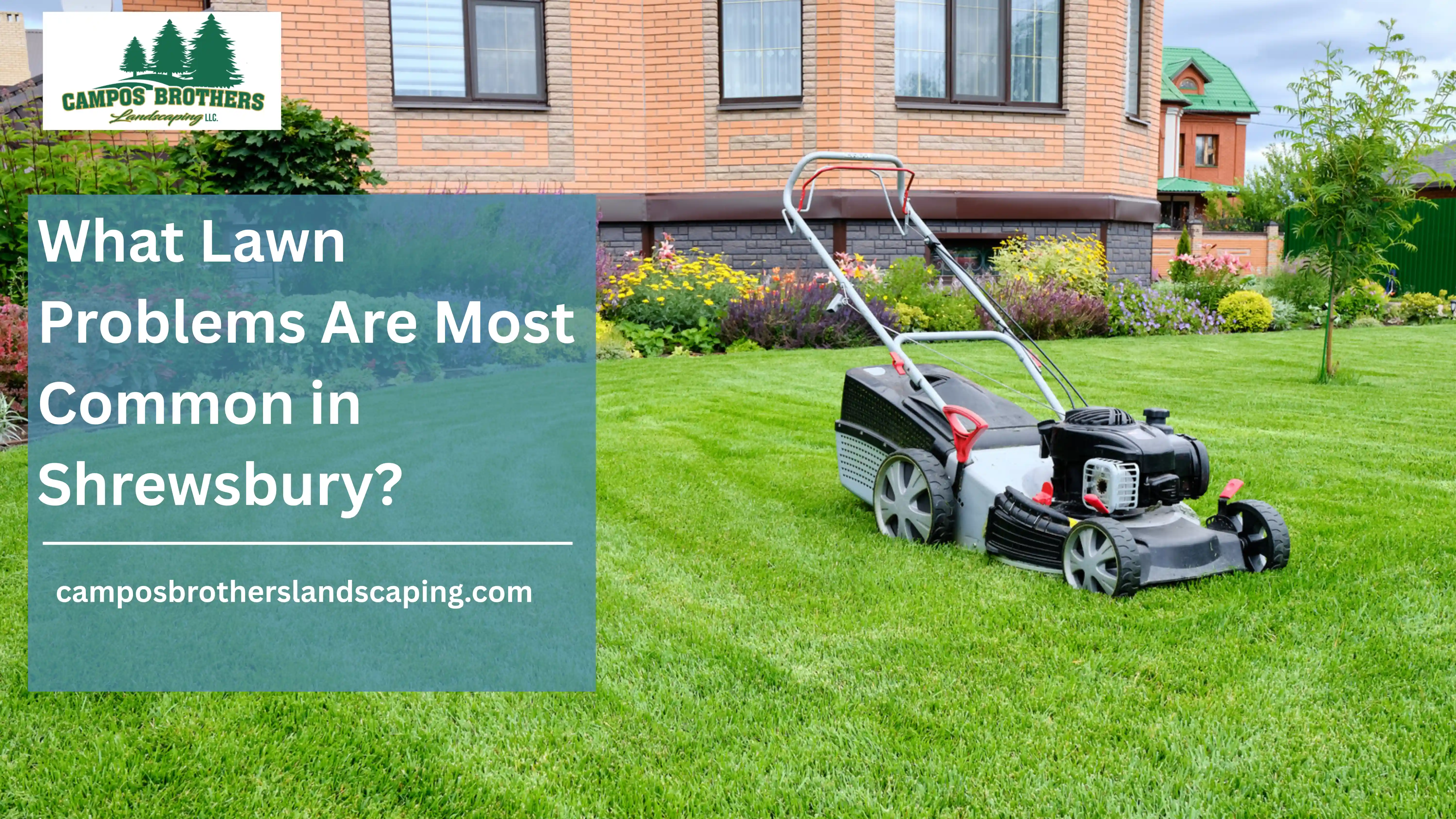 Lawn Care in Shrewsbury, MA