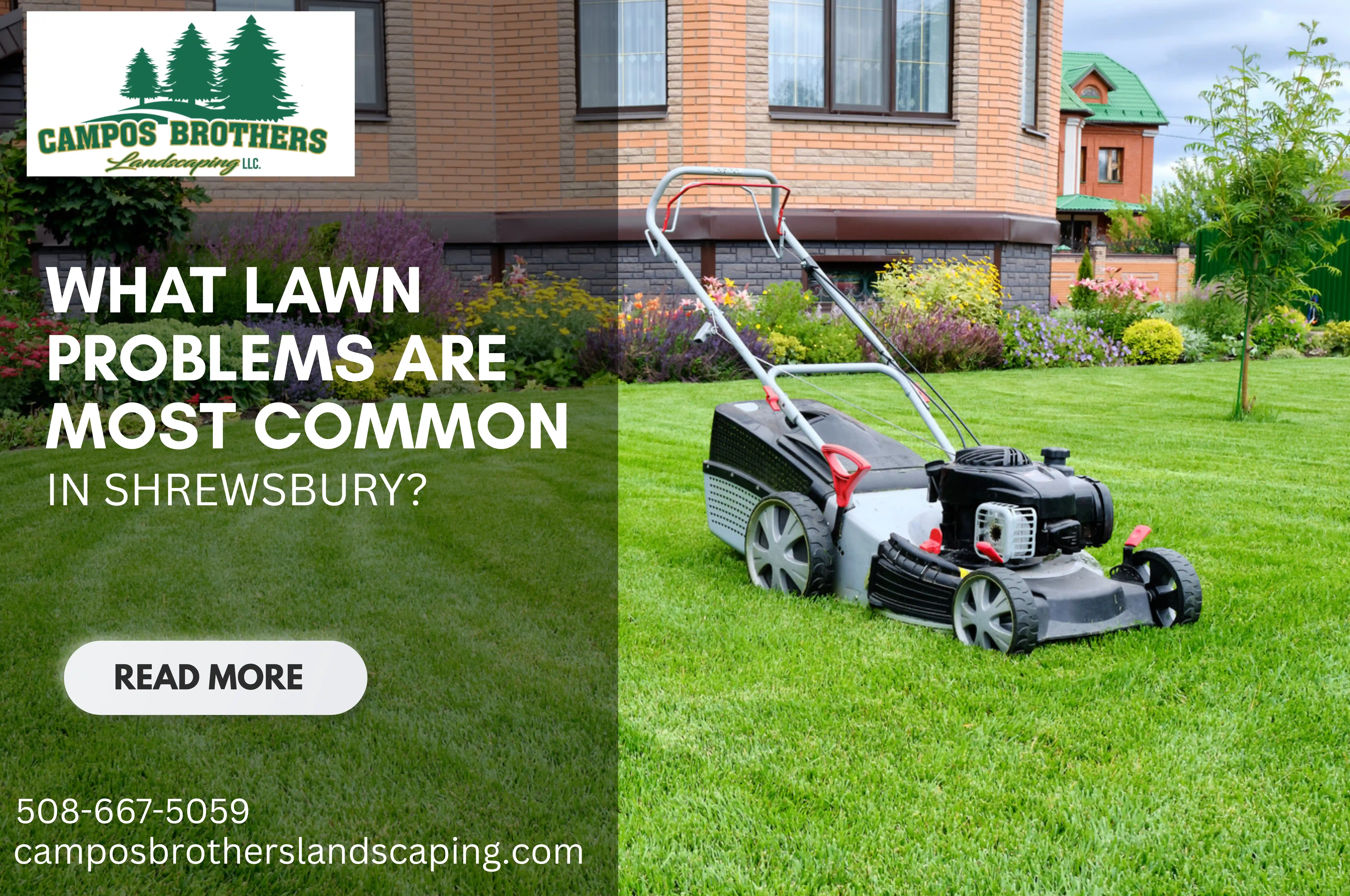 Lawn Care