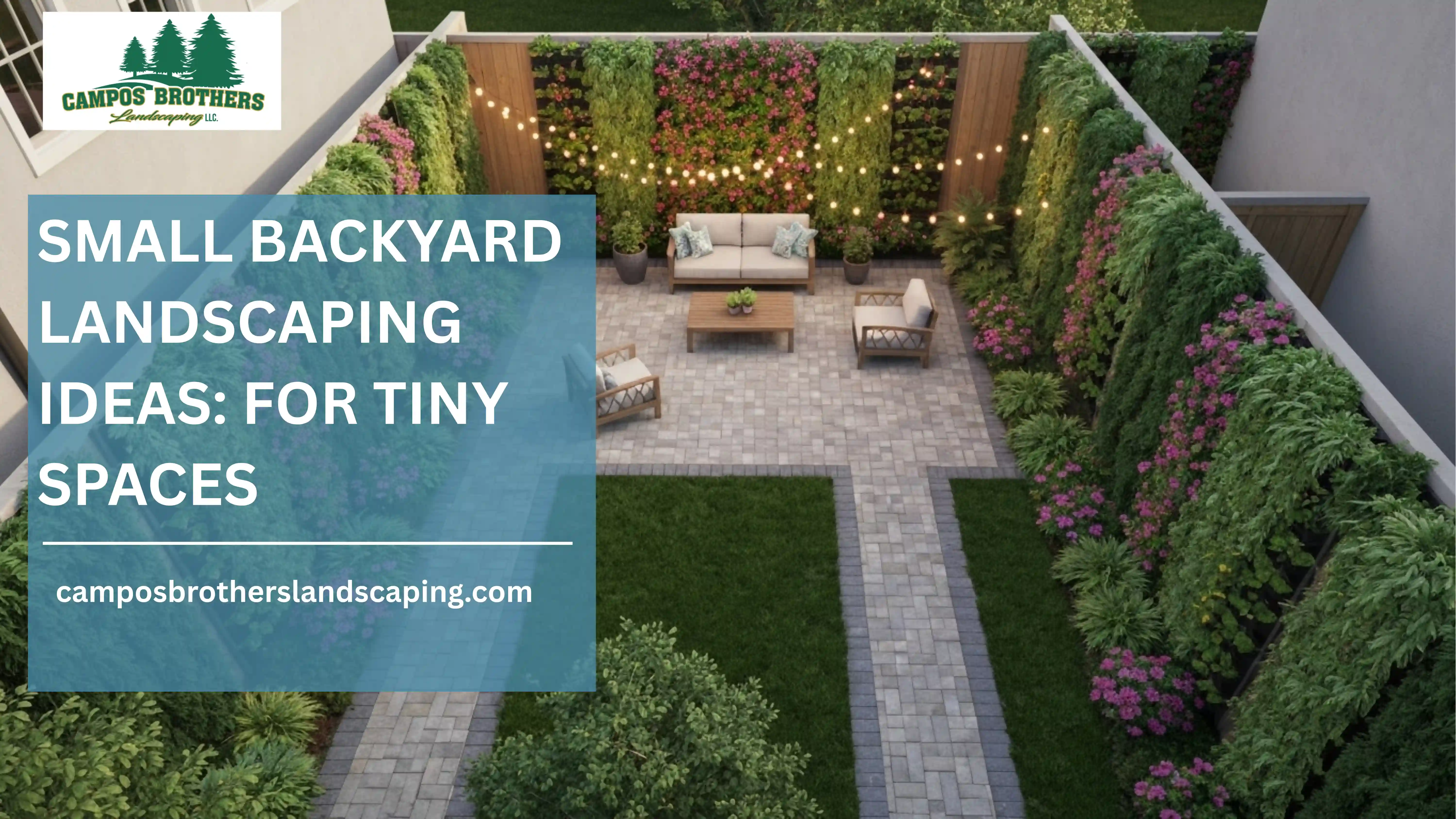 How to Plant a Tree the Right Way - Step by Step Guide by Campos Brothers Landscaping