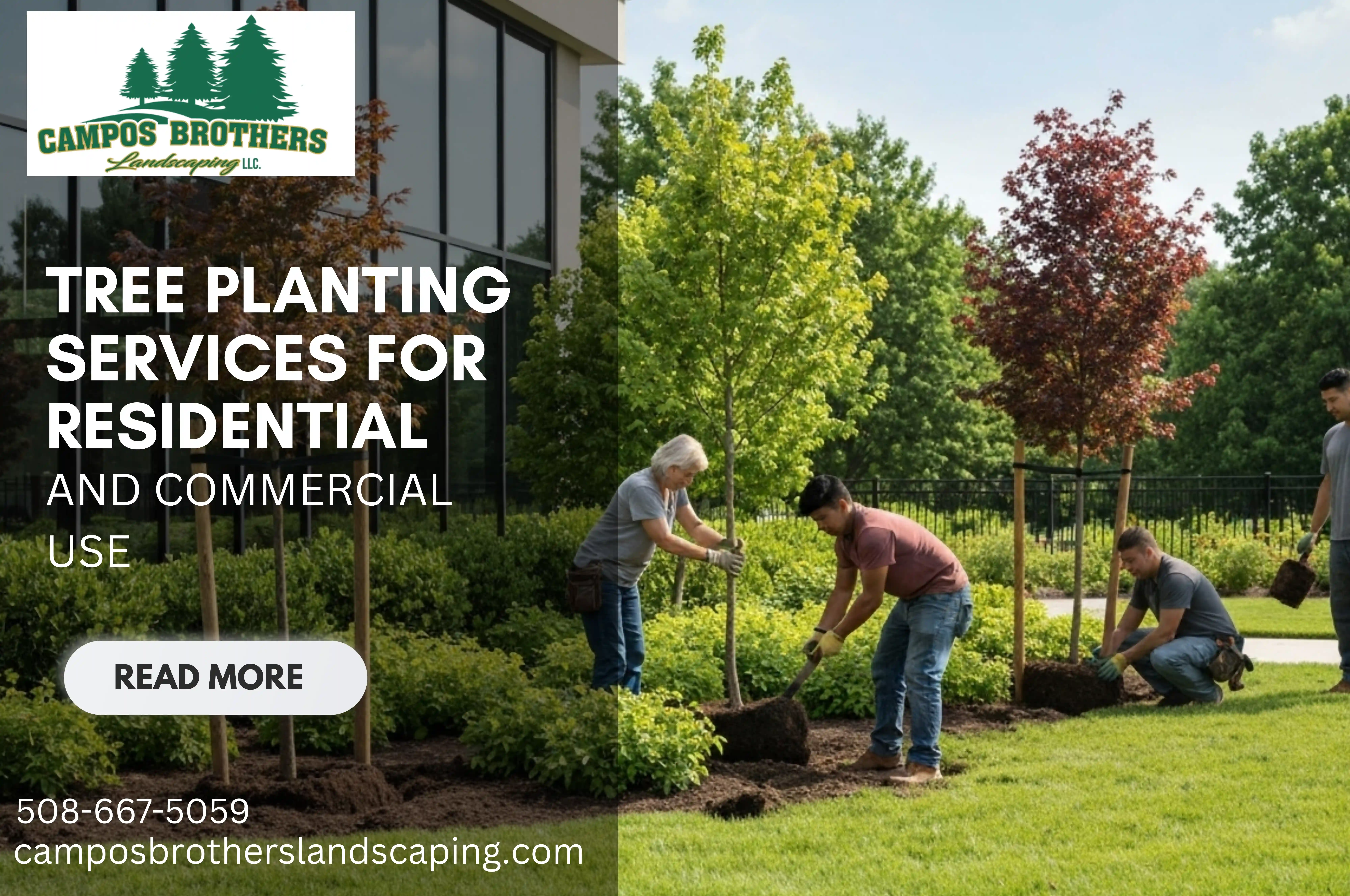 Tree Planting Services