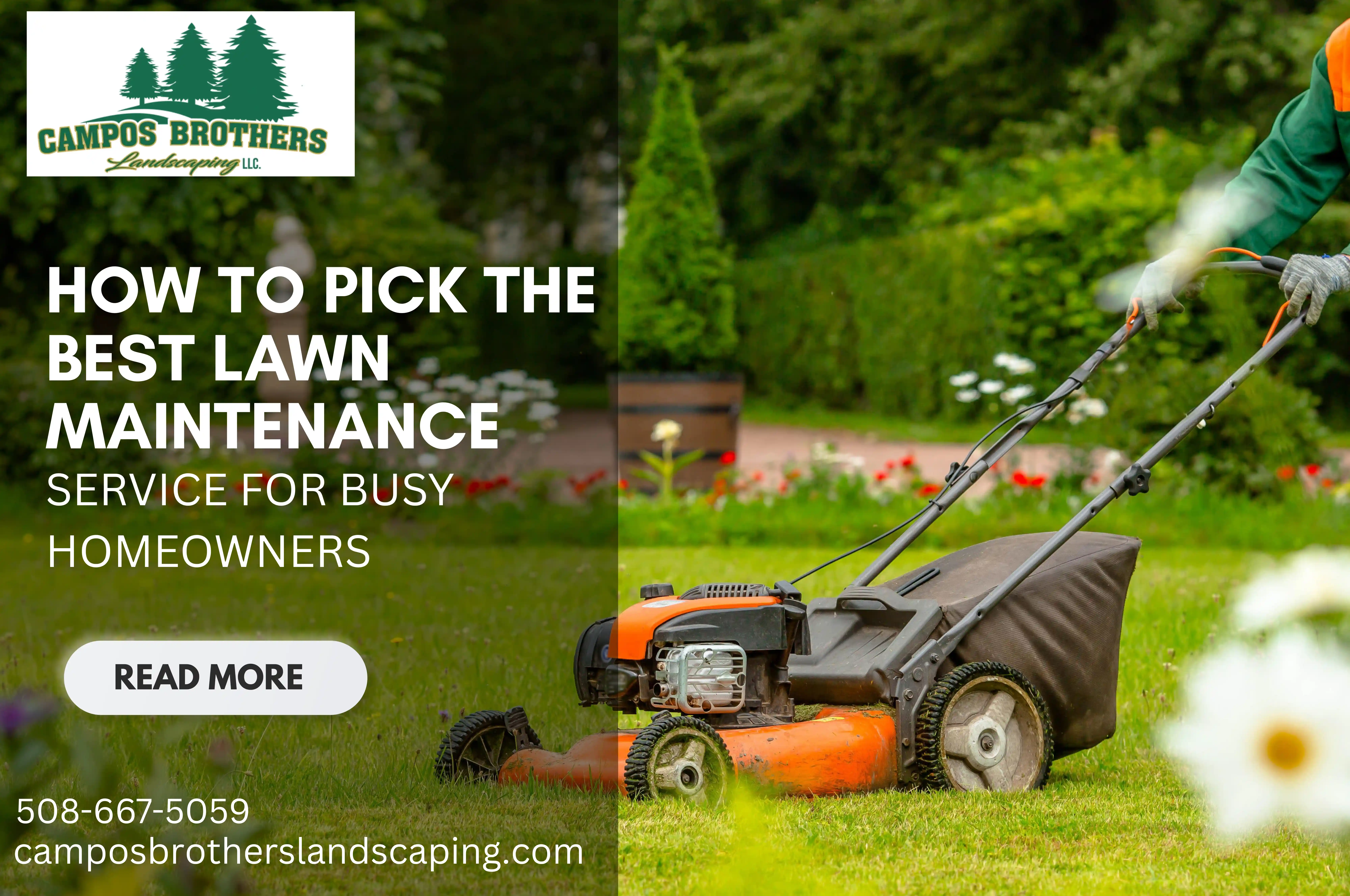 tree trimming service